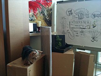 Staci's soon to be office
