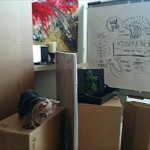 Stasi’s Soon To Be Office Set-Up Plus a New Cintiq for Moi!
