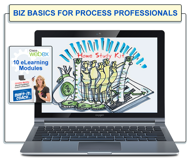 Biz Basics for Process Professionals Home Study Kit