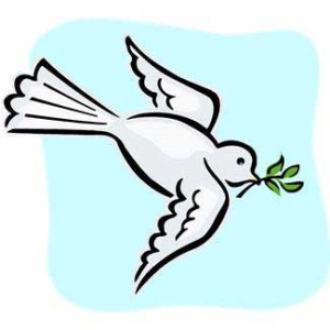 peacedove