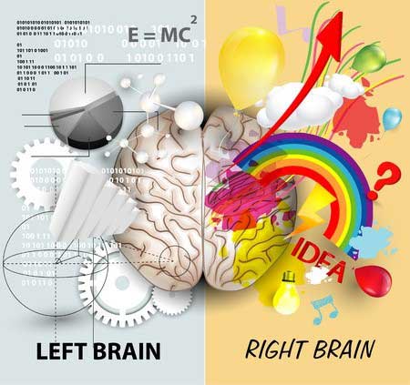 left-right-brain