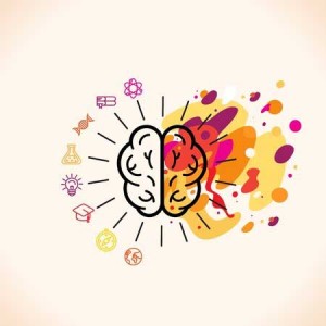 line art drawing of right brain vs left brain