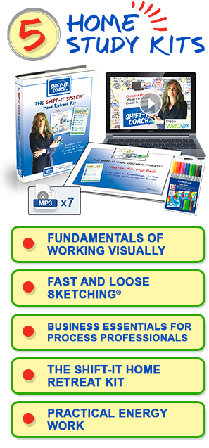 Biz Basics For Process Professionals Home Study Kit