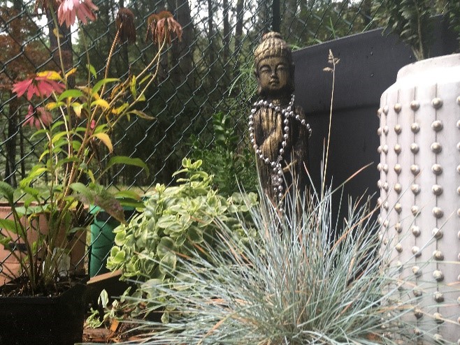 statue of buddha in Christina Merkley's garden in Metchosin british columbia