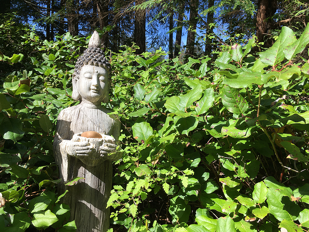weathered wooden carving of buddha in the salal bushes of christina merkley's garden on vancouver island