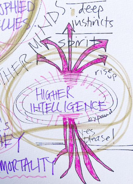 Higher Intelligence Map