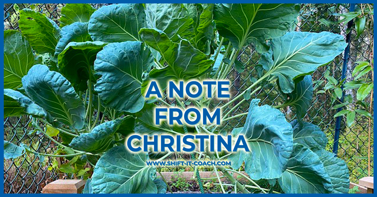 A Note from Christina header image of massive brussel sprout plant in her garden