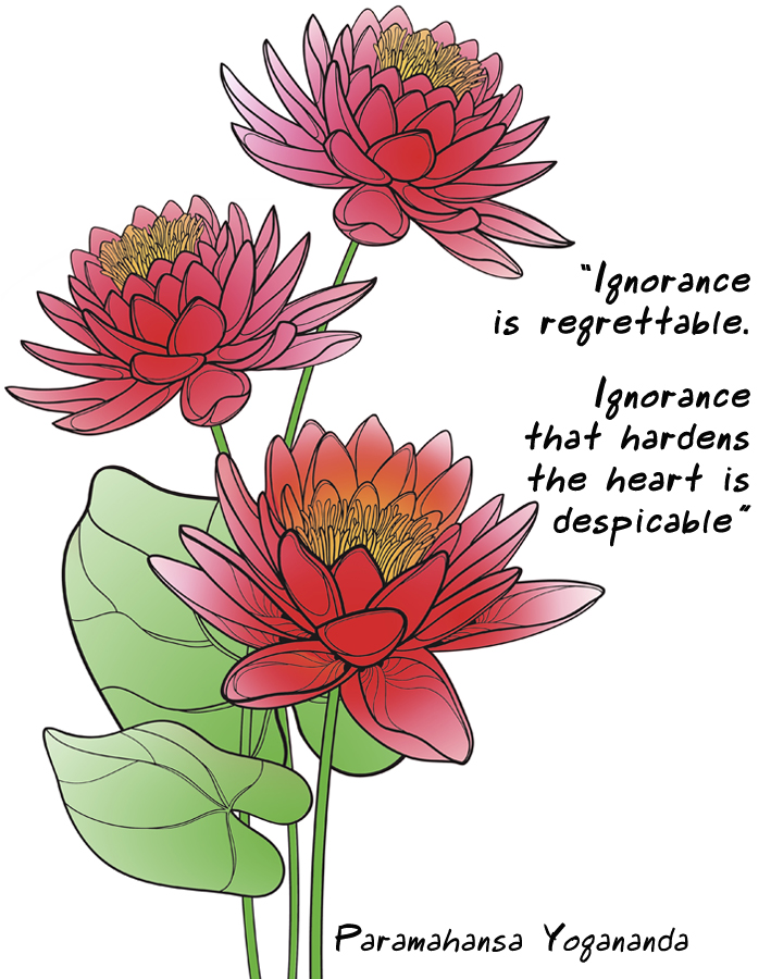 Line art of red lotus flowers with a quote from Paramahansa Yogananda. "Ignorance is regretable. Ignorance that hardens the heart is despicable."