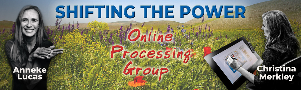 Online Processing Group for Shifting the Power Banner with Anneke Lucas and Christina Merkley on her drawing tablet working on a visual map. Against a field of wildflower, poppies and purple strife.