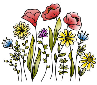 colorful wildflower line art with poppies, daisies and cornflowers