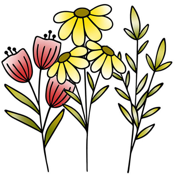 colorful wildflower line art with poppies, and daisies