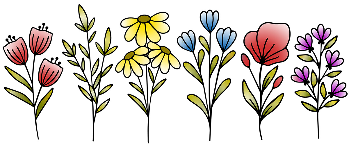 colorful wildflower line art with poppies, daisies and cornflowers