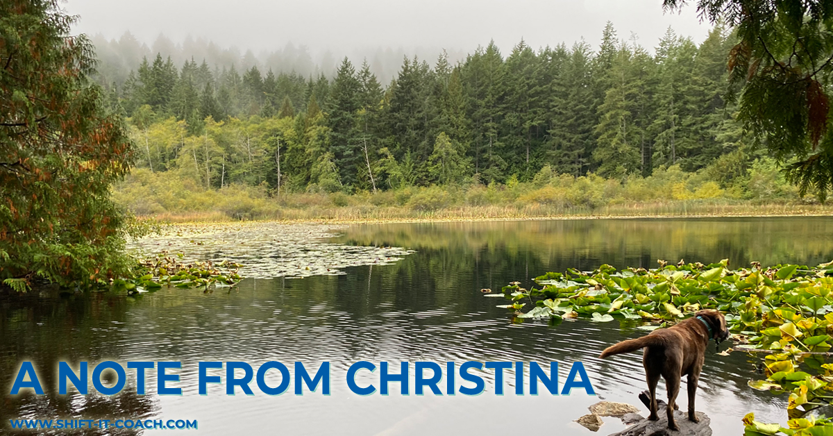 Misty morning in the Pacific Northwest. Christina Merkley walks her chocolate lab who is stopped on a log overlooking a pond with the back drop of the evergreen forests and low lying mist.
